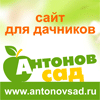 //antonovsad.ru/stream/